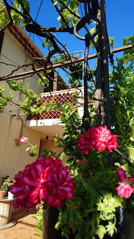 Les Prairies Mas Roux ξενώνας Raphèle Εξωτερικό φωτογραφία